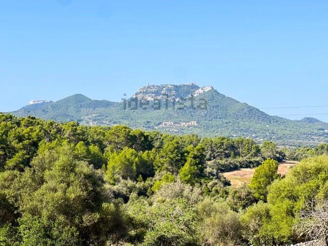 Terreno en venta en Manacor, Llevant