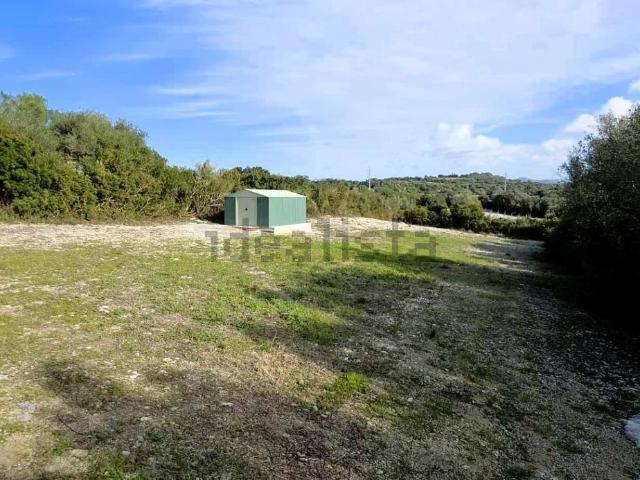 Terreno en venta en Manacor, Llevant
