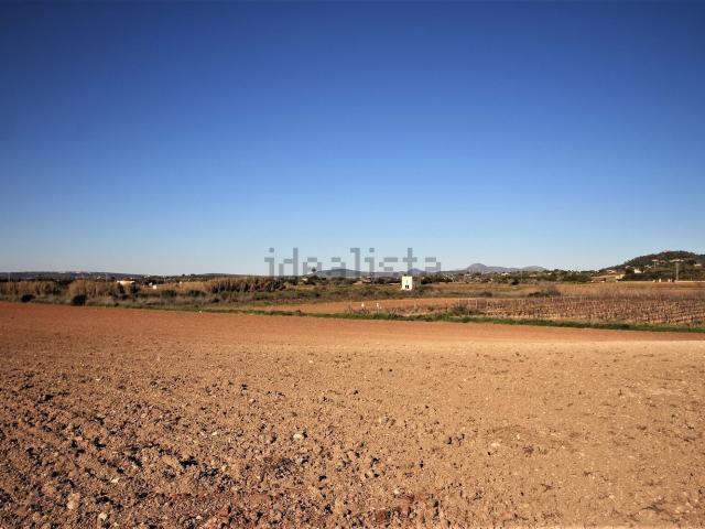 Terreno en venta en Manacor, Llevant