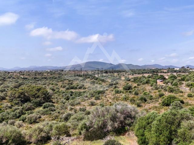 Terreno en venta en Manacor, Llevant