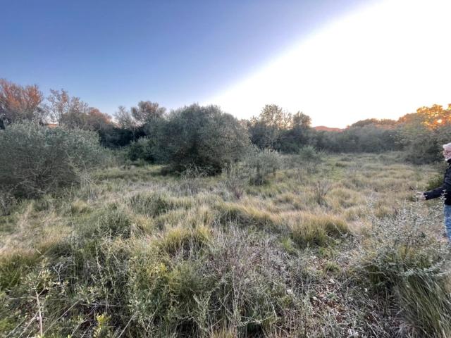 Terreno en venta en Manacor, Llevant