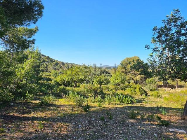 Terreno en venta en Manacor, Llevant