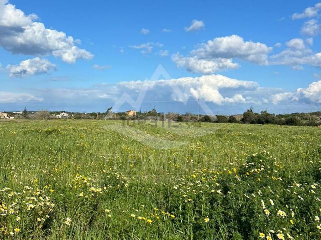 Terreno en venta en Manacor, Llevant