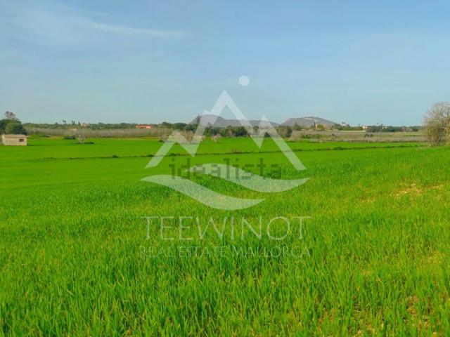 Terreno en venta en Manacor, Llevant