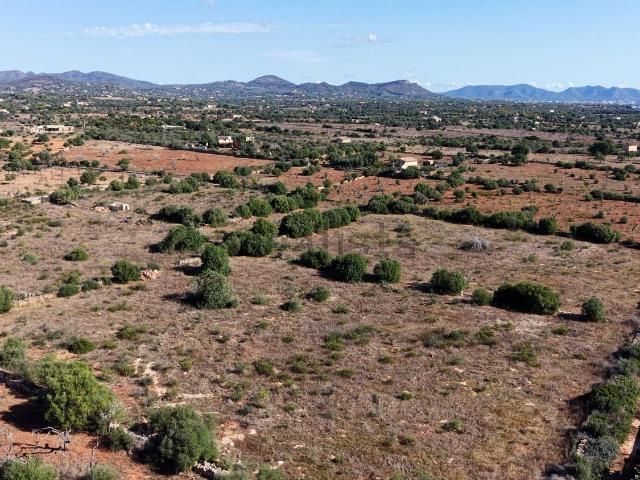 Terreno en venta en Manacor, Llevant