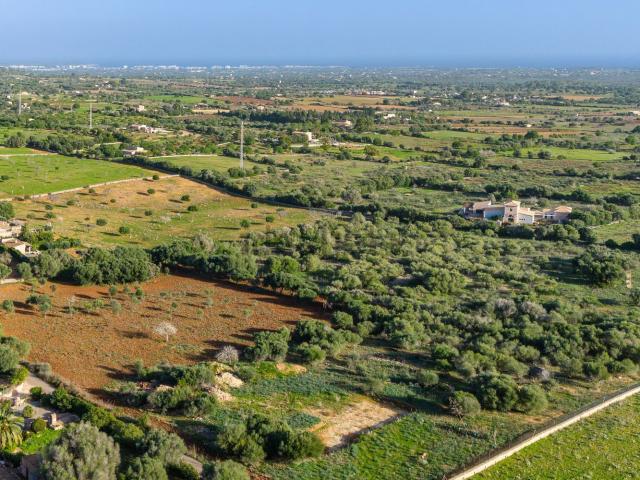 Terreno en venta en Manacor, Llevant