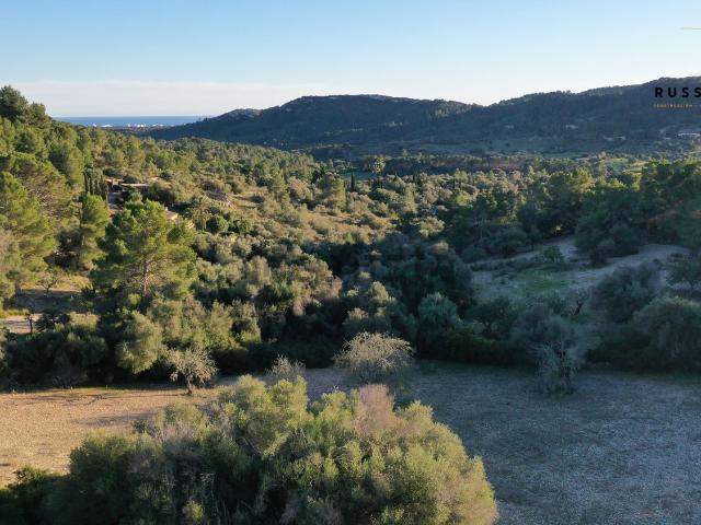 Terreno en venta en Manacor, Llevant