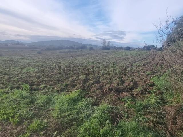 Terreno en venta en Manacor, Llevant