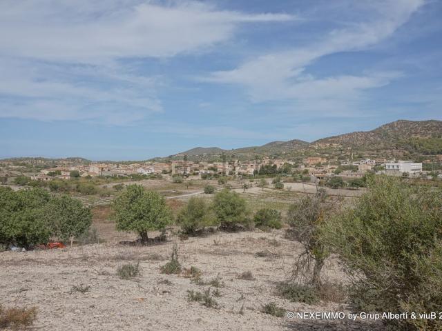 Terreno en venta en Manacor, Llevant