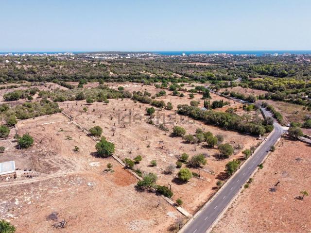 Terreno en venta en Manacor, Llevant