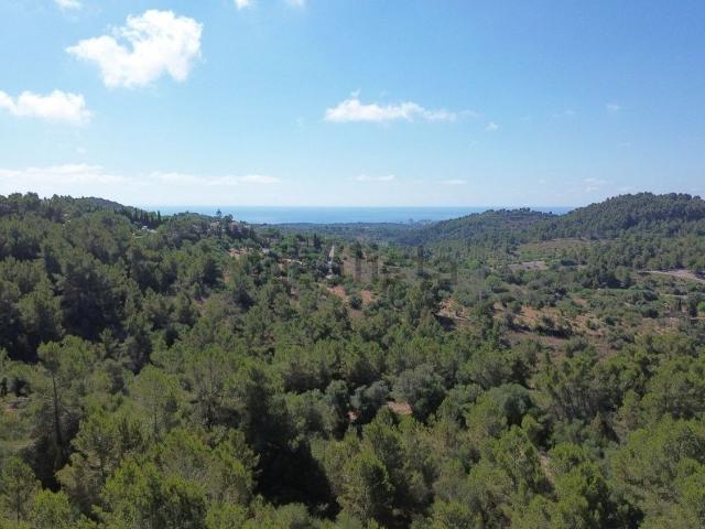 Terreno en venta en Manacor, Llevant