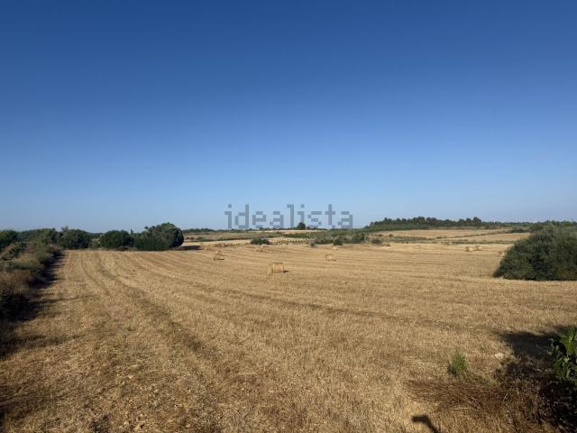 Terreno en venta en Manacor, Llevant