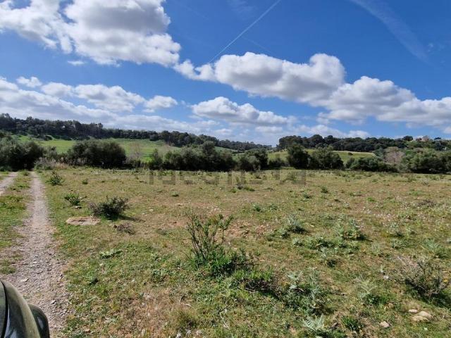 Terreno en venta en Manacor, Llevant