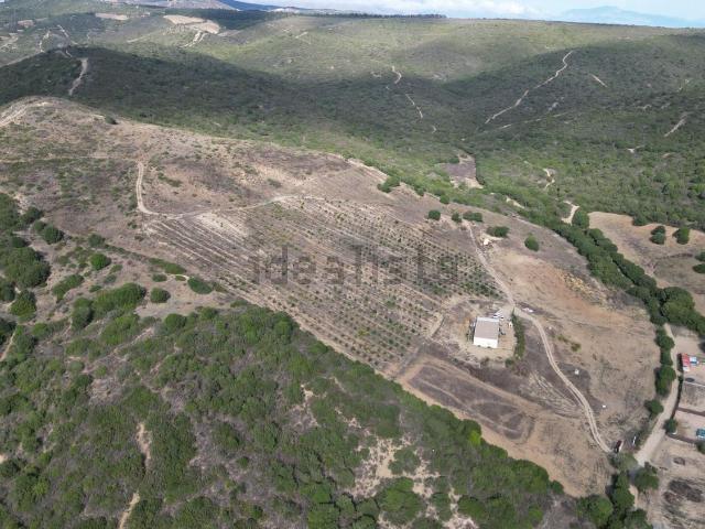 Terreno en venta en San Luis de Sabinillas, Manilva