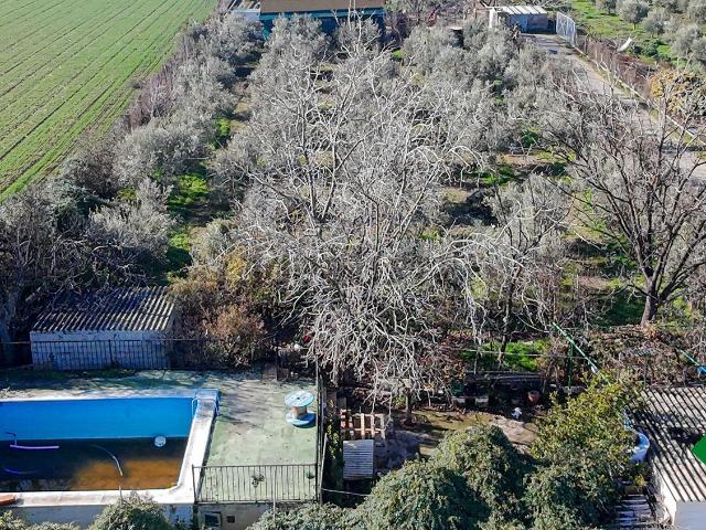 Terreno en venta en Comarca de la Vega de Granada, Andalucía