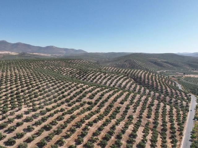 Terreno en venta en Comarca de la Vega de Granada, Andalucía
