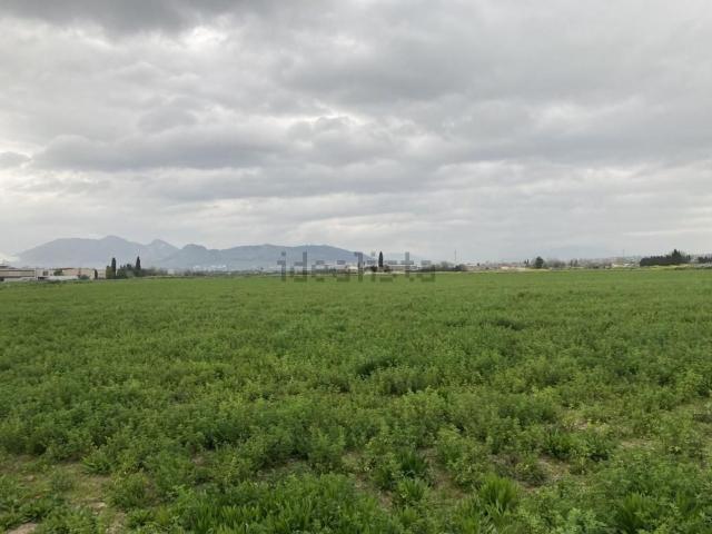Terreno en venta en Comarca de la Vega de Granada, Andalucía
