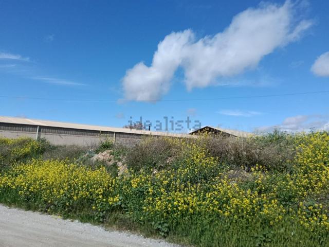 Terreno en venta en Comarca de la Vega de Granada, Andalucía