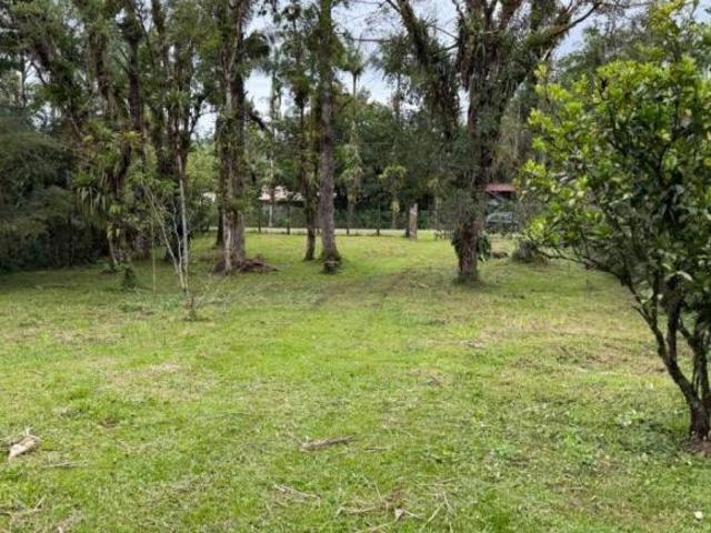 Terreno venda em Rocio, Morretes