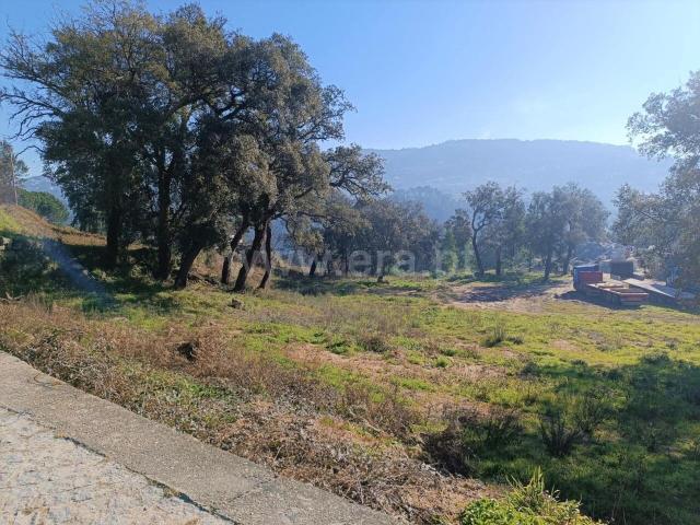 Terreno venda em Várzea, Porto