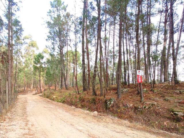 Terreno venda em Rosém, Avessadas