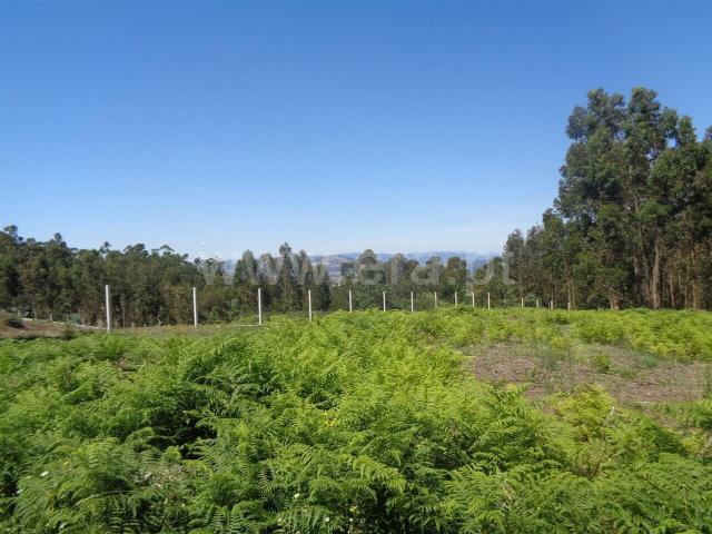 Terreno venda em Rosém, Avessadas