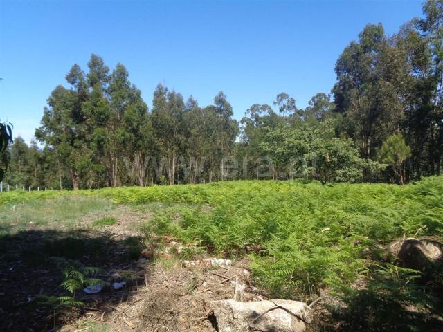 Terreno venda em Rosém, Avessadas