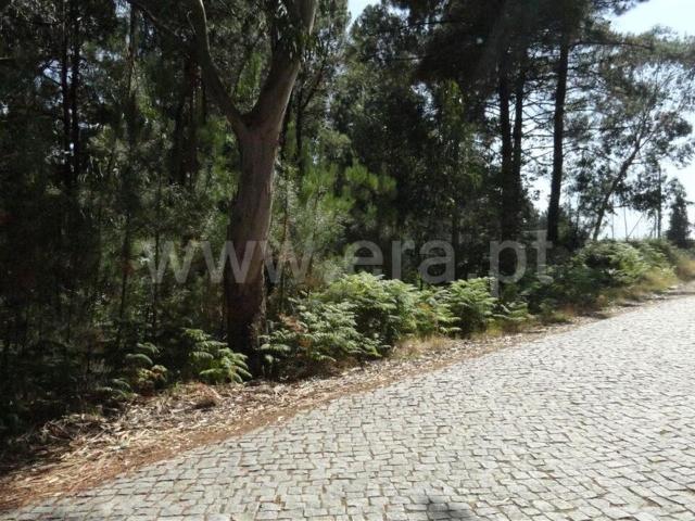 Terreno venda em Banho E Carvalhosa, Porto