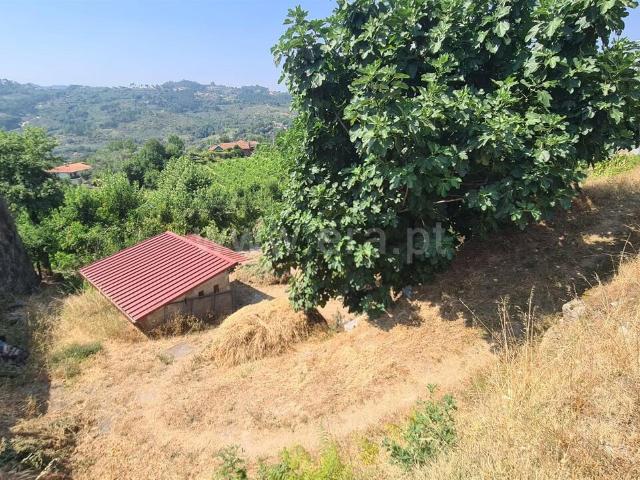 Terreno venda em Canhões, Tabuado