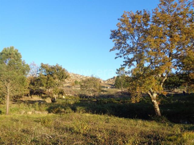 Terreno venda em Paços de Gaiolo, Porto