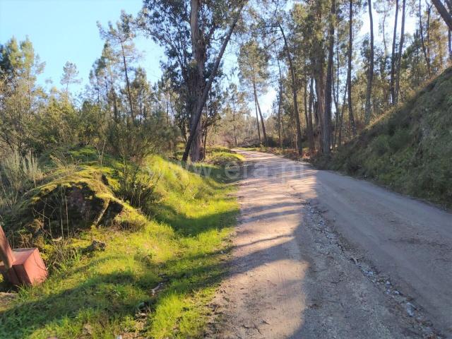 Terreno venda em Canhões, Tabuado