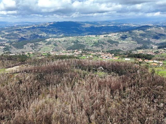 Terreno venda em Folhada, Várzea Ovelha E Aliviada