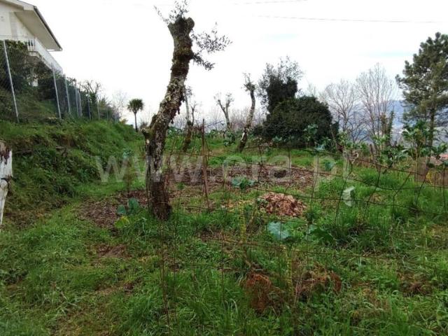Terreno venda em Várzea da Ovelha, Várzea Ovelha E Aliviada