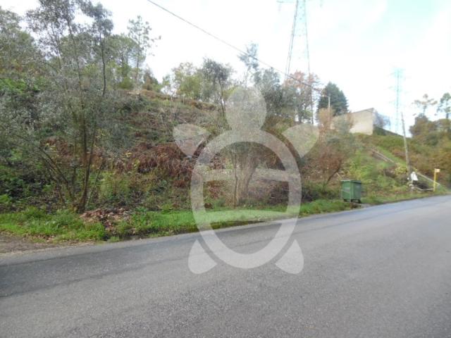 Terreno venda em Coimbrã, Coimbra
