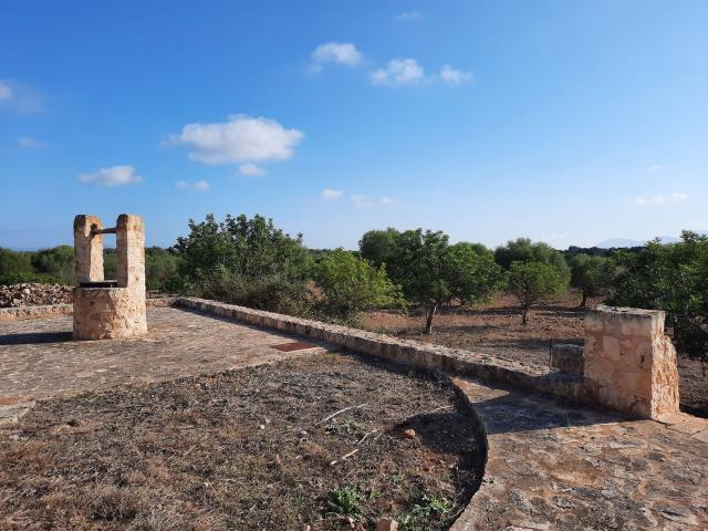 Terreno en venta en Pla de Mallorca, Baleares