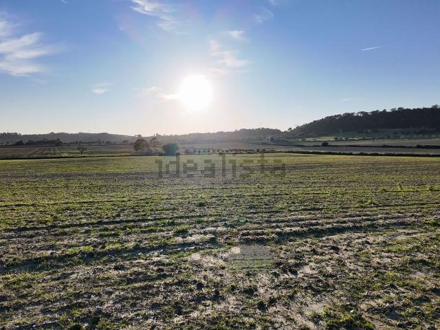 Terreno en venta en Pla de Mallorca, Baleares