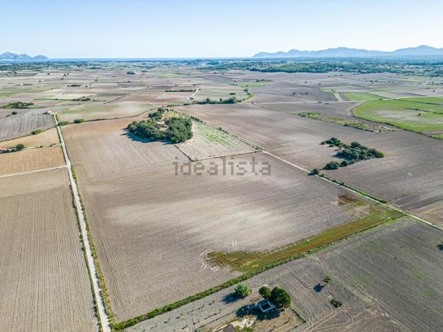 Terreno en venta en Pla de Mallorca, Baleares