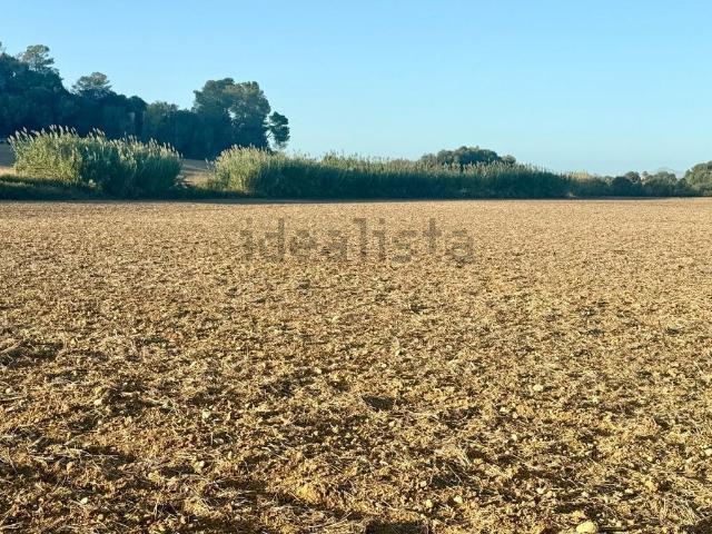 Terreno en venta en Pla de Mallorca, Baleares