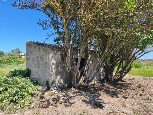 Terreno en venta en Pla de Mallorca, Baleares