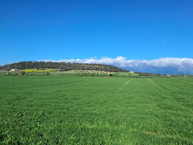 Terreno en venta en Pla de Mallorca, Baleares