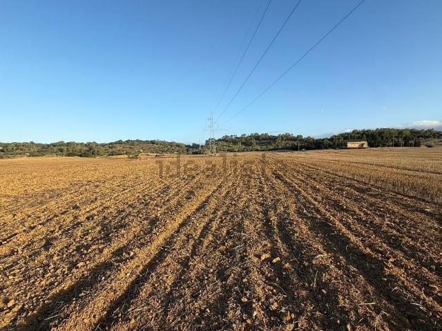 Terreno en venta en Pla de Mallorca, Baleares