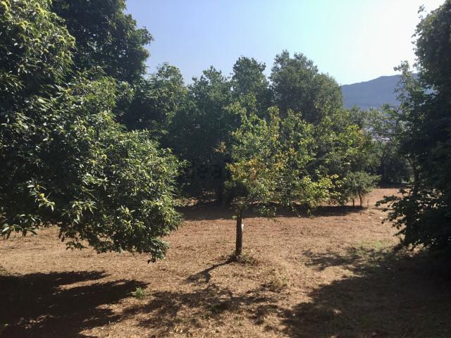 Terreno en venta en San Xián de Marín, O Morrazo