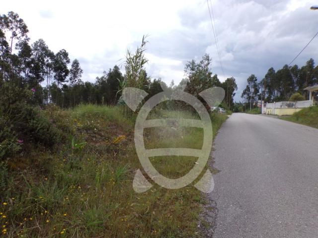 Terreno venda em Coimbrã, Botão