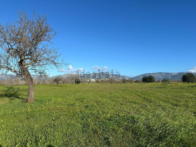 Terreno en venta en Es Garrovers, Raiguer