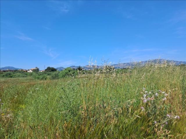 Terreno en venta en Son Macià-sa Nova Cabana, Raiguer