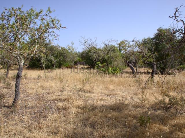 Terreno en venta en Pòrtol, Raiguer