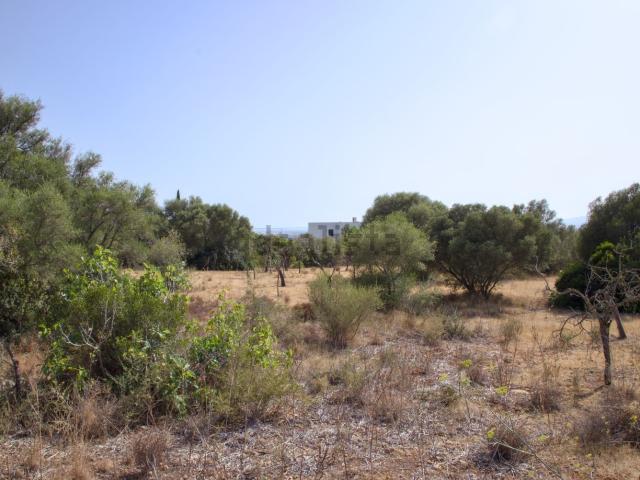 Terreno en venta en Pòrtol, Raiguer