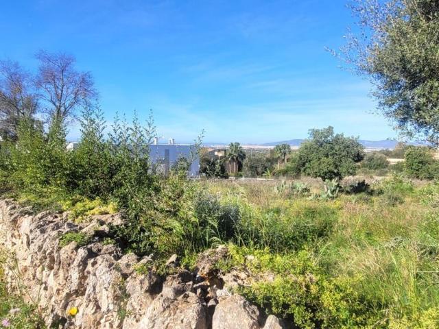 Terreno en venta en Pòrtol, Raiguer