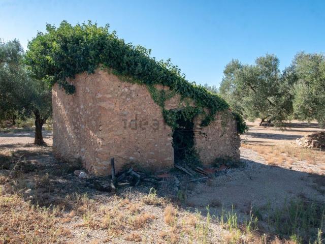 Terreno en venta en Montsià, Catalunya