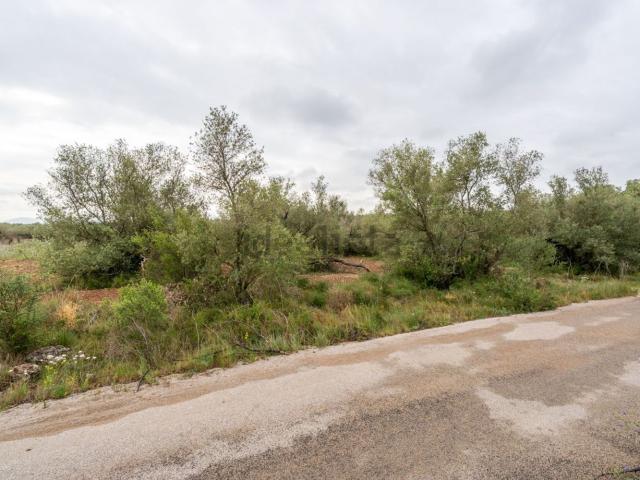 Terreno en venta en Montsià, Catalunya